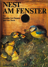 Cover: Nest am Fenster 9783551209016