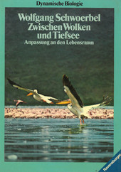 Cover: Zwischen Wolken und Tiefsee 9783473355730