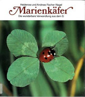 Cover: Marienkäfer 9783276000028