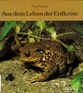 Cover: Aus dem Leben der Erdkröte 9783276000349