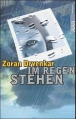 Cover: Im Regen stehen 9783499209932